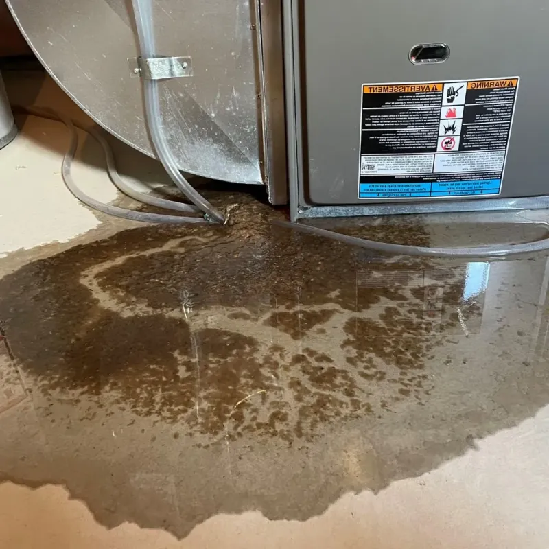 Pipe Burst and Leak Restoration in Del Monte Forest, CA